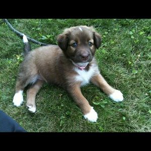 Meet your Posher, Amy